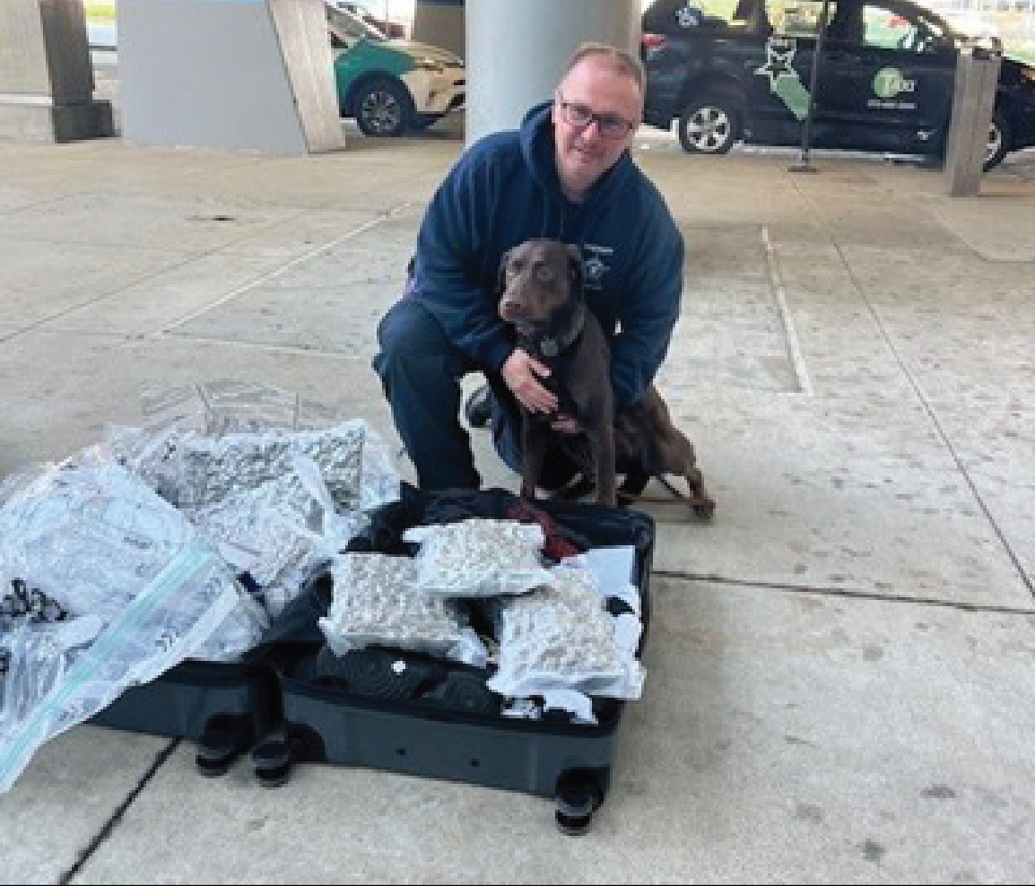 K9-Xena_Dep_Davis-8