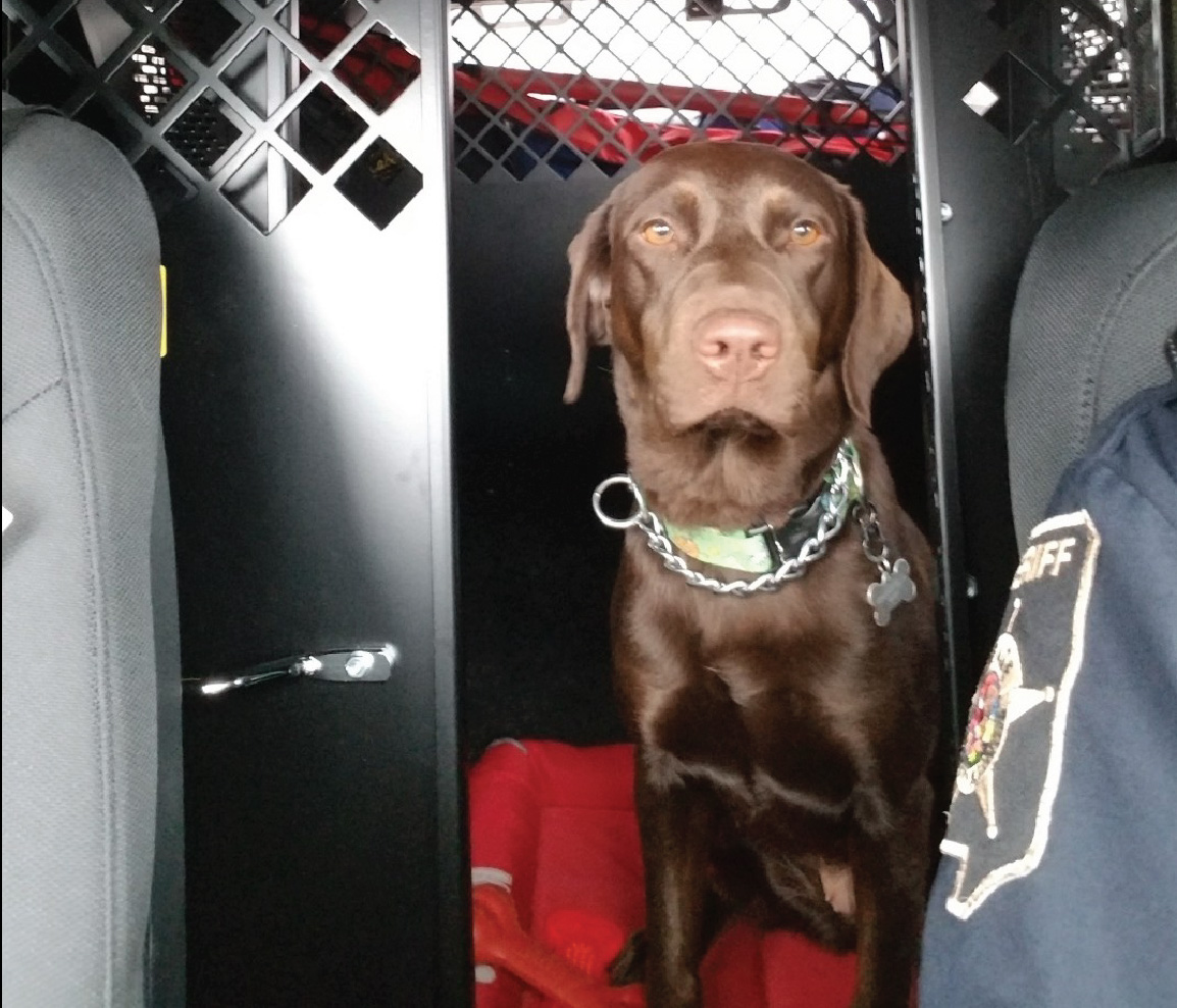 K9-Xena_Dep_Davis-9